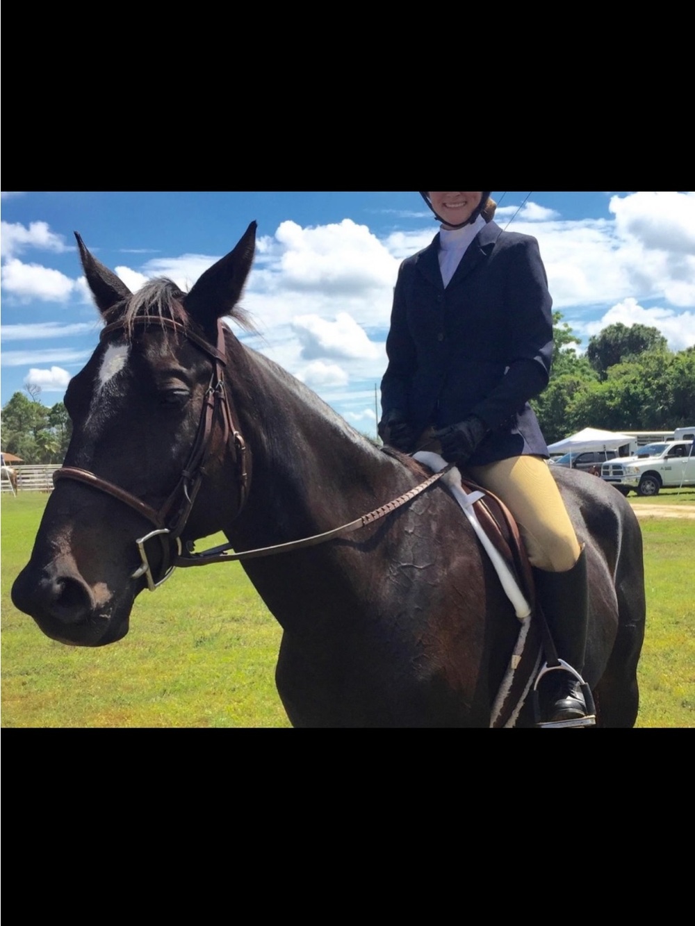Riding Show Coat Navy | Horse Hunter/Jumper | Women’s Size A06 | On Course - Picture 7 of 7